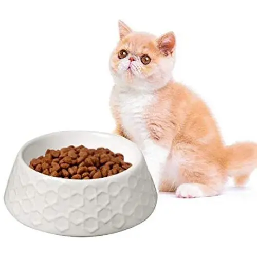 None branded Ceramic Cat Bowls Dog Bowl Cat Food Water Bowls with Retro Emboss Pattern, Heavyweight Cat Dish Dog Feeding Bowls None branded Ceramic Cat Bowls Dog Bowl Cat Food Water Bowls with Retro Emboss Pattern, Heavyweight Cat Dish Dog Feeding Bowls