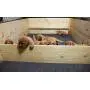 Drymate Whelping Box Liner Mat, 48'' x 50'' - Machine Washable, Reusable and Absorbent Dog Whelping Pad - Can Be Cut to Fit, USA Made