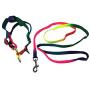 Rainbow Flag Small Dog Harness and Leash Gay Pride