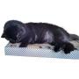 3CatS Cat Toy and Scratcher with Jingle Balls in Track - Cardboard Cat Scratching Box