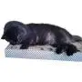 3CatS Cat Toy and Scratcher with Jingle Balls in Track - Cardboard Cat Scratching Box 3CatS Cat Toy and Scratcher with Jingle Balls in Track - Cardboard Cat Scratching Box