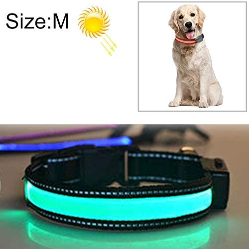 Chenyouwen Pet Toys Great Medium and Large Dog Pet Solar + USB Charging LED Light Collar, Neck Circumference Size: M, 40-50cm(Orange) (Color : Green)