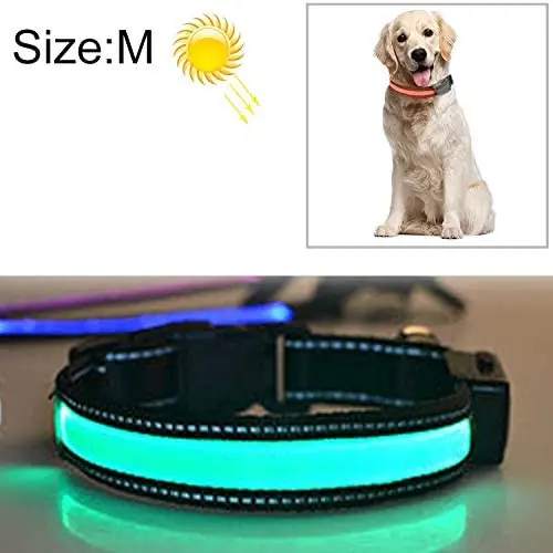 Chenyouwen Pet Toys Great Medium and Large Dog Pet Solar + USB Charging LED Light Collar, Neck Circumference Size: M, 40-50cm(Orange) (Color : Green) Chenyouwen Pet Toys Great Medium and Large Dog Pet Solar + USB Charging LED Light Collar, Neck Circumference Size: M, 40-50cm(Orange) (Color : Green)