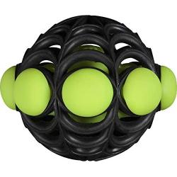 JW Pet Company Arachnoid Ball Dog Toy (Colors Vary)