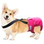 Paw Inspired Dog Diaper Suspenders | Dog Suspenders, Canine Suspenders | Dog Diaper Harness (S/M, Black)