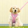 Curli Vest Harness Air-Mesh with Matching Leash