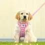 Curli Vest Harness Air-Mesh with Matching Leash Curli Vest Harness Air-Mesh with Matching Leash