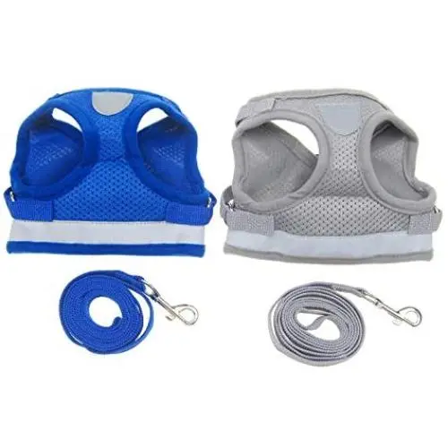 Alfie Pet - Mira 2-Piece Set Reflective Breathable Soft Air Mesh Puppy Dog Vest Harness Alfie Pet - Mira 2-Piece Set Reflective Breathable Soft Air Mesh Puppy Dog Vest Harness