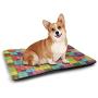 DayDayFun Colorful Cute Pattern Pet Mat Alphabet Background Design with Letter Icons Words Literature Textured Fun Print Pet Mats for Food and Water Multicolor