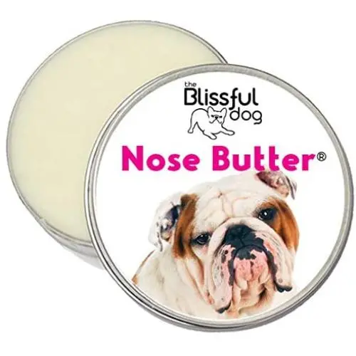 The Blissful Dog Nose Butter for Dry Dog Nose The Blissful Dog Nose Butter for Dry Dog Nose