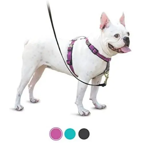 PetSafe 3 in 1 Harness - No-Pull Dog Harness - for X-Small, Small, Medium and Large Breeds - from the Makers of the Easy Walk Harness PetSafe 3 in 1 Harness - No-Pull Dog Harness - for X-Small, Small, Medium and Large Breeds - from the Makers of the Easy Walk Harness