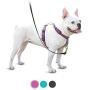 PetSafe 3 in 1 Harness - No-Pull Dog Harness - for X-Small, Small, Medium and Large Breeds - from the Makers of the Easy Walk Harness