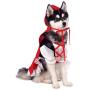 Rubies Red Riding Hood Dog Costume