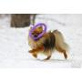 2 Puller Mini Interactive Dog Toy 7.5'' Rings, Purple, for Small Breed Dogs