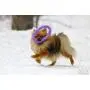 2 Puller Mini Interactive Dog Toy 7.5'' Rings, Purple, for Small Breed Dogs 2 Puller Mini Interactive Dog Toy 7.5'' Rings, Purple, for Small Breed Dogs
