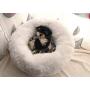 BODISEINT Modern Soft Plush Round Pet Bed for Cats or Small Dogs, Mini Medium Sized Dog Cat Bed Self Warming Autumn Winter Indoor Snooze Sleeping Cozy Kitty Teddy Kennel