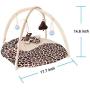 PetBonus Cat Play Mat, Cat Activity Center with Interactive Toys, Bell Ball, Mice Toy for Cats, Kitten, Kitty