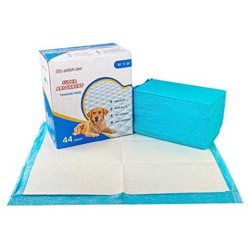 Pet Training Puppy Pads, 34'' x 28'' XXL-Large, Ultra Absorbent - All Day Premium Dog Pads - 20 Count, 42 Count