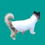 Dog Bathrobe, Microfiber Fast Drying Absorbent Hooded Bath Towel White for Puppy Small Medium Large Dog Cat