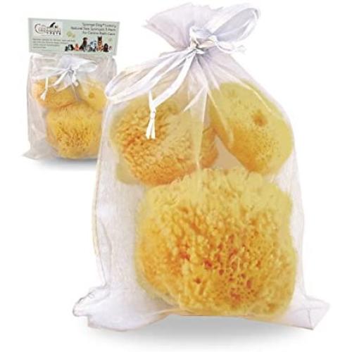 Constantia Pets Sea Sponges for Dogs - Luxury Canine Bath Care, for Pet Grooming, Soft & Gentle Pampering