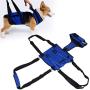 Zerodis Dog Sling Assist Belt, XLarge Polyester Dog Lift Support Harness Blue Adjustable Full Body Lift Harness Walking Strap for Disabled Old Age Dogs