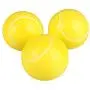 Adarl 10pcs Pet Cat Soft Sponge Rainbow Play Balls Interactive Cats Dogs Ball Toys Training Pet Supplies