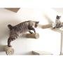 ZPFDM Cat Climbing Frame, Sisal Wall Mount Cat Ladder Furniture Tree Tower, Cat Scratching Post, for Climber House Cat Play Tower Activity Centre