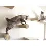 ZPFDM Cat Climbing Frame, Sisal Wall Mount Cat Ladder Furniture Tree Tower, Cat Scratching Post, for Climber House Cat Play Tower Activity Centre ZPFDM Cat Climbing Frame, Sisal Wall Mount Cat Ladder Furniture Tree Tower, Cat Scratching Post, for Climber House Cat Play Tower Activity Centre