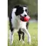 Nerf Dog Squeak Rubber Football Dog Toy Nerf Dog Squeak Rubber Football Dog Toy