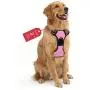 Dog Harness No Pull, Adjustable Reflective Breathable Vest with Handle for Large Dogs Walking by Best Pet Supplies, Easy Control Tactical Dog Harness Dog Harness No Pull, Adjustable Reflective Breathable Vest with Handle for Large Dogs Walking by Best Pet Supplies, Easy Control Tactical Dog Harness