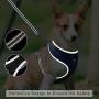Puppy Harness and Leash Set - Dog Vest Harness for Small Dogs Medium Dogs- Adjustable Reflective Step in Harness for Dogs - Soft Mesh Comfort Fit No Pull No Choke (XS, Light Green)