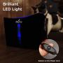 iPettie Kamino Pet Water Fountain, 101oz/3L, Ultra-Quiet Automatic Cat Water Dispenser with LED Light & Water Level Window, Auto Power Off USB Pump & Dual Filters for Cats and Dogs | Black