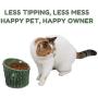 PetnPurr Large Handmade Cactus Cat Scratching Post and Cactus Ceramic Raised Food Bowl