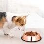 Stainless Steel Dog Bowl, Rose Gold pet Bowl, Non-Slip cat Food Dog Bowl 895ML, Suitable for All Types of Pets