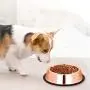 Stainless Steel Dog Bowl, Rose Gold pet Bowl, Non-Slip cat Food Dog Bowl 895ML, Suitable for All Types of Pets Stainless Steel Dog Bowl, Rose Gold pet Bowl, Non-Slip cat Food Dog Bowl 895ML, Suitable for All Types of Pets