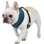 Now House by Jonathan Adler for Pets Dog Harnesses | Reversible Harnesses for Dogs Available in Multiple Prints and Sizes | Comfortable and Chic Dog Accessories for All Dogs