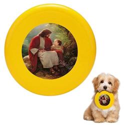 Pet Frisbee Flying Disc Dog Toy - Multifunction in His Light Greg Olsen
