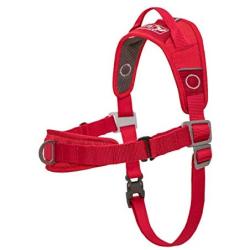 Kurgo Walk About Dog Harness, No Pull Training Harness for Dogs, Discourages Pulling, Front D-Ring, Includes Control Handle, Chili Red