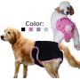 B0838XQ2SK Redcolourful Female Breathable Physiological Pants for Small Meidium Pets Dogs Purple M