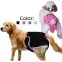 B0838XQ2SK Redcolourful Female Breathable Physiological Pants for Small Meidium Pets Dogs Purple M B0838XQ2SK Redcolourful Female Breathable Physiological Pants for Small Meidium Pets Dogs Purple M