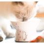 Raised Cat Bowl,Elevated, Porcelain Made, Pet Supplies, Backflow Prevention, Stress Free, Small to Medium, Safety Choice for Your Lovely pet, Superior for Wet and Dry Food…