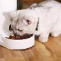 FUNLULA FUNLULA FUNLULA Automatic Water Dispenser and Manual Cat Food Feeder in Set for Small Medium Large Dog Cats Puppy Kitten Pet Self-Dispensing Big Capacity Bowl