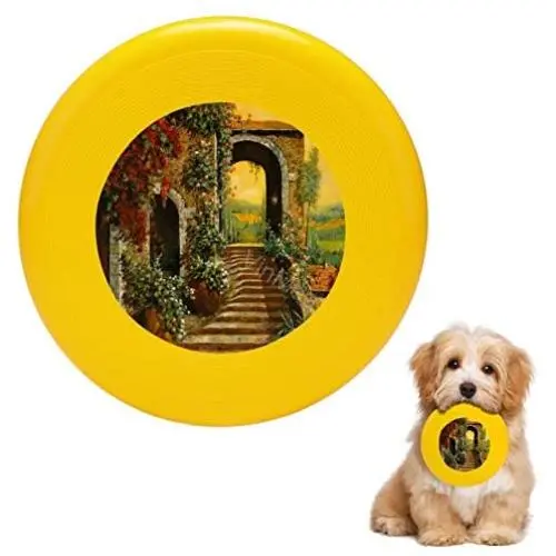 Pet Frisbee Flying Disc Dog Toy - Multifunction Le Scale Guido Borelli Pet Frisbee Flying Disc Dog Toy - Multifunction Le Scale Guido Borelli