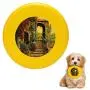 Pet Frisbee Flying Disc Dog Toy - Multifunction Le Scale Guido Borelli Pet Frisbee Flying Disc Dog Toy - Multifunction Le Scale Guido Borelli