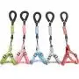 Adjustable Dog Harness Pet Rope Leash Durable Nylon Leash with Soft Padded Training Vest Safe Pull Pet Walking Harness Adjustable Dog Harness Pet Rope Leash Durable Nylon Leash with Soft Padded Training Vest Safe Pull Pet Walking Harness