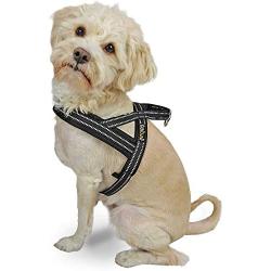 Dog Harness Easy Walk for Dogs Pug Life with Easy On and Off Reflective Vest and Padded Adjustable Gentle Lead