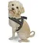 Dog Harness Easy Walk for Dogs Pug Life with Easy On and Off Reflective Vest and Padded Adjustable Gentle Lead Dog Harness Easy Walk for Dogs Pug Life with Easy On and Off Reflective Vest and Padded Adjustable Gentle Lead