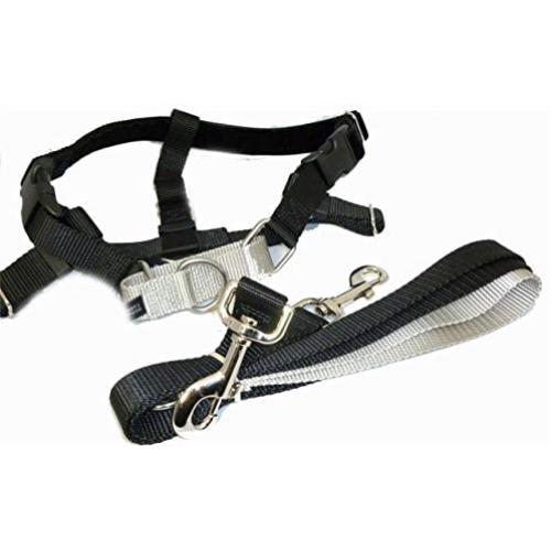 2 Hounds Design Freedom No-Pull Dog Harness Training Package with Leash, X-Small, 5/8-Inch Wide, Black