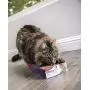 SmartyKat Super Scratcher Cat Scratcher SmartyKat Super Scratcher Cat Scratcher