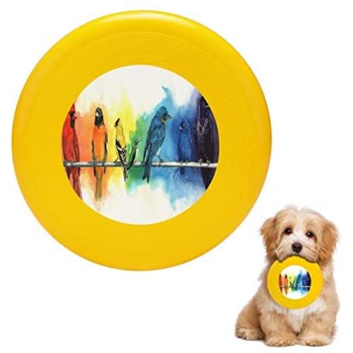 Pet Frisbee Flying Disc Dog Toy - Multifunction Rainbow Birds Antony Galbraith